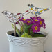 tow birds in pot
