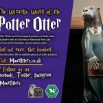Previous Work. Potter Otter Rachel Shilston